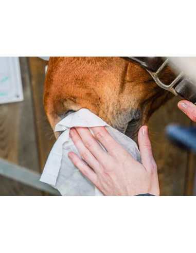Easy Shine Wipe - Ravene