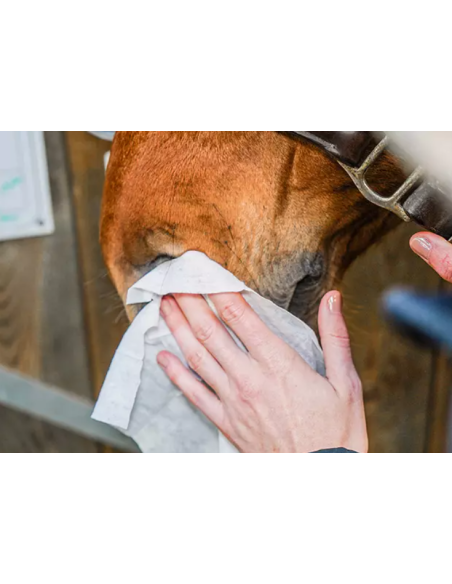 Easy Shine Wipe - Ravene