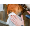Easy Shine Wipe - Ravene