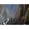 Easy Shine Shampoo - Ravene