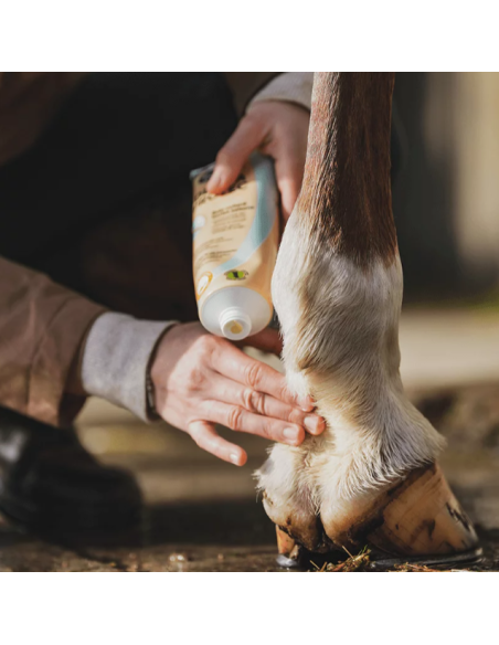 Derma Protec - Ravene