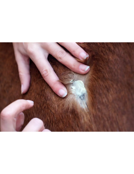 Derma Protec - Ravene