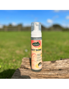 Easy Shine Mouss - Ravene 2