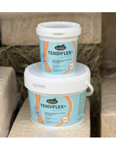 Tendiflex + - Ravene