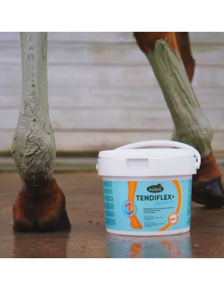 Tendiflex + - Ravene