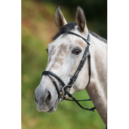 Bridon Regular Bridle - HFI