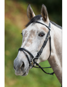 Bridon Regular Bridle - HFI