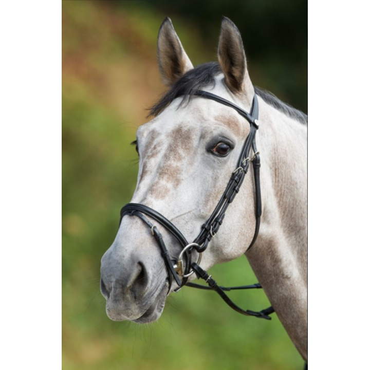 Bridon Regular Bridle - HFI
