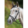Bridon Regular Bridle - HFI