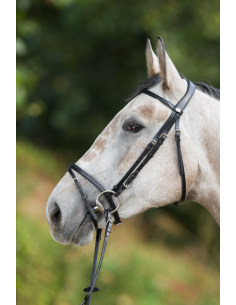 Bridon Regular Bridle - HFI 2