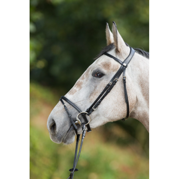 Bridon Regular Bridle - HFI