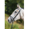 Bridon Regular Bridle - HFI