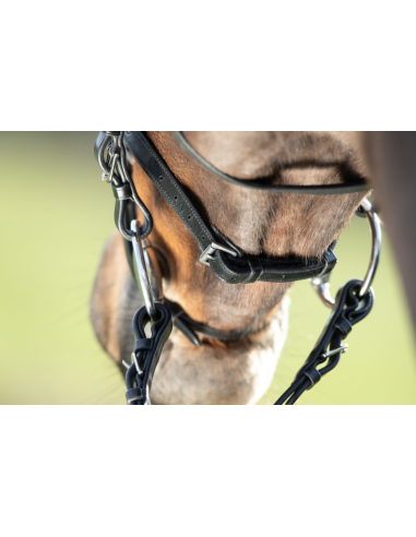 Bridon Regular Bridle - HFI