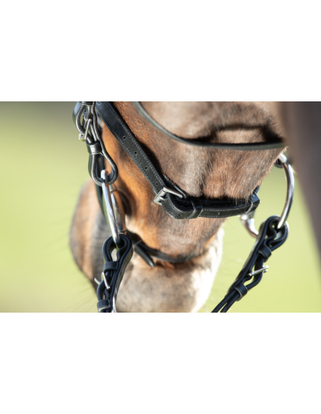 Bridon Regular Bridle - HFI