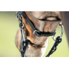 Bridon Regular Bridle - HFI