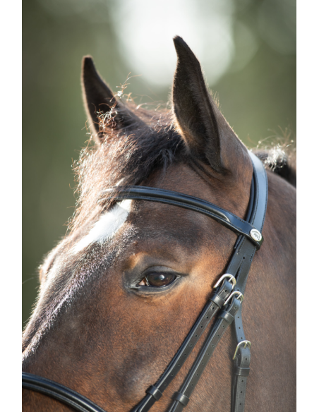 Bridon Regular Bridle - HFI