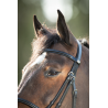 Bridon Regular Bridle - HFI