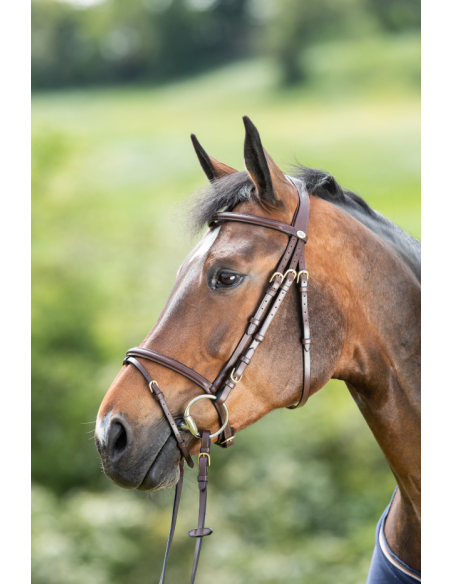 Bridon Regular Bridle - HFI