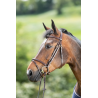 Bridon Regular Bridle - HFI