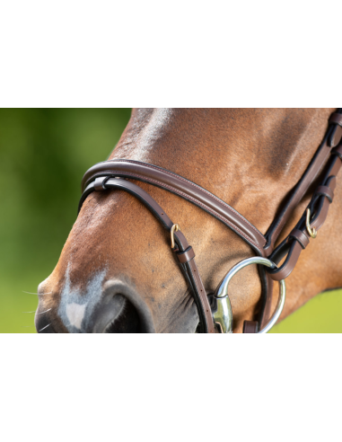Bridon Regular Bridle - HFI