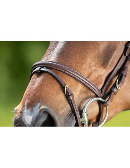 Bridon Regular Bridle - HFI