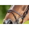 Bridon Regular Bridle - HFI