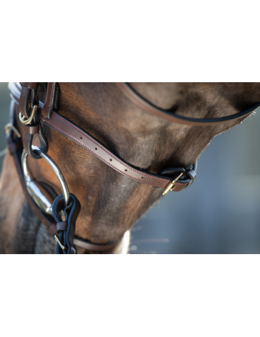 Bridon Regular Bridle - HFI