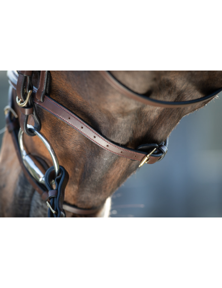 Bridon Regular Bridle - HFI