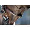 Bridon Regular Bridle - HFI