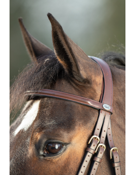 Bridon Regular Bridle - HFI
