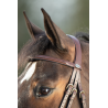 Bridon Regular Bridle - HFI