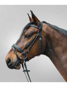 Bridon Diamond - STAR