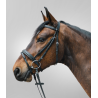 Bridon Diamond - STAR