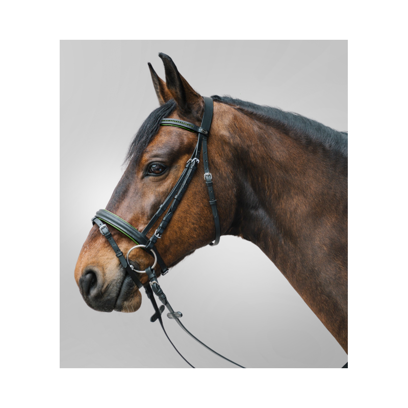 Bridon Diamond - STAR