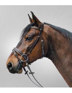 Bridon Diamond - STAR 2