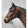 Bridon Diamond - STAR