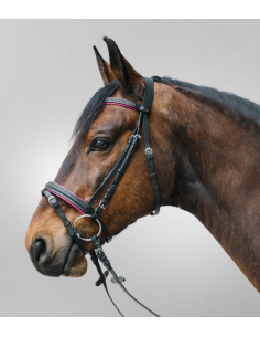 Bridon Diamond - STAR 2