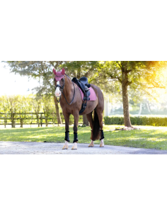 Tapis Square Dressage Essence Stone - LeMieux 2