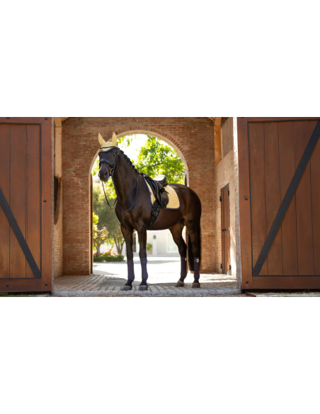 Tapis Square Dressage en suédine - LeMieux