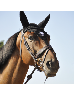 Bridon Évolution Contact - IHWT