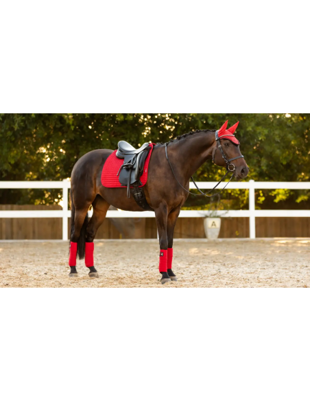Tapis Square Dressage en suédine - LeMieux