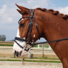 Bridon Évolution Contact Dressage avec Pull Back - IHWT