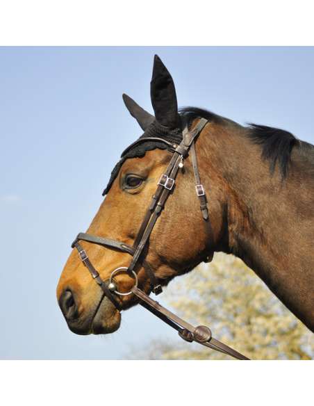 Bridon Évolution Soft T - IHWT