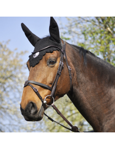 Bridon Évolution Soft T - IHWT