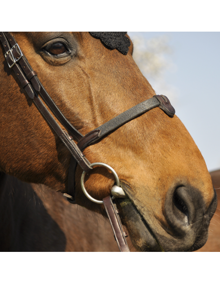 Bridon Évolution Soft T - IHWT