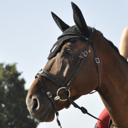 Bridon Évolution Soft T Contact Dressage avec Pull Back - IHWT