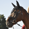Bridon Évolution Soft T Contact Dressage avec Pull Back - IHWT