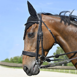Bride Evolution Contact Dressage avec Pull-Back - IHWT