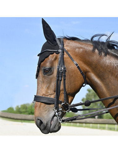 Bride Evolution Contact Dressage avec Pull-Back - IHWT