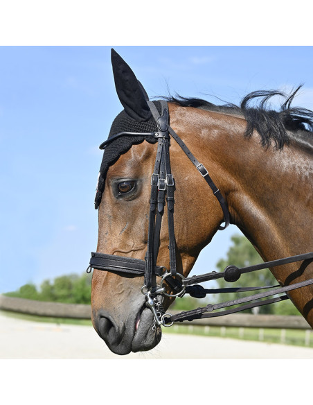 Bride Evolution Contact Dressage avec Pull-Back - IHWT